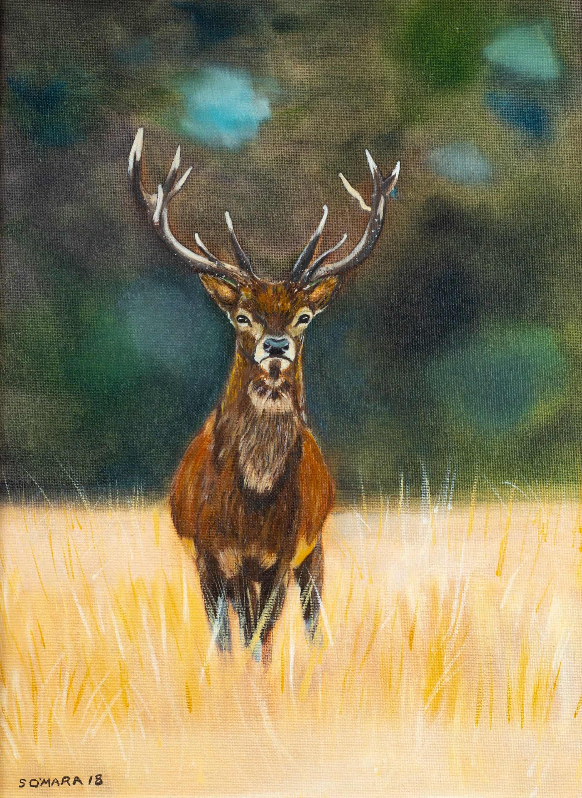 Stag in Field